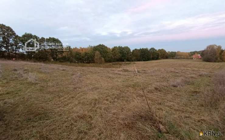 Działki  na sprzedaż, Skrzeszewo, ul. , 