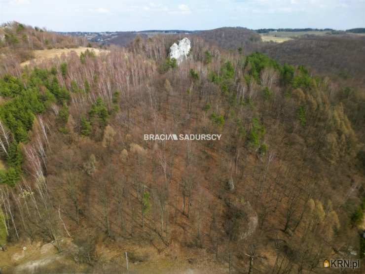 Działki  na sprzedaż, Jerzmanowice, ul. , 