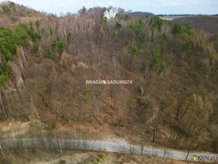 Jerzmanowice, ul. , Działki  na sprzedaż, 