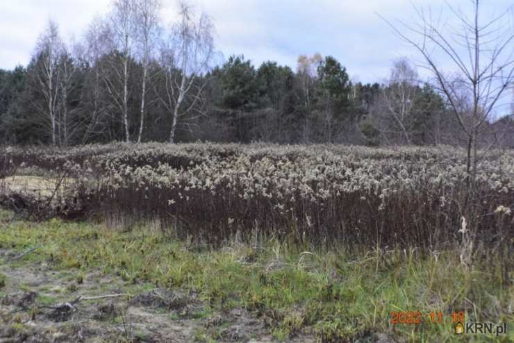 Działki  na sprzedaż, , Wioska, ul. 