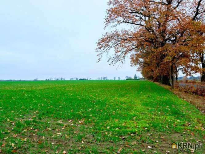 Działki  na sprzedaż, , Mały Buczek, ul. 