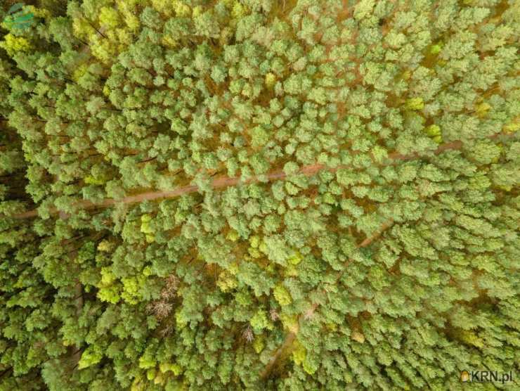 Działki  na sprzedaż, , Rusinowo, ul. 