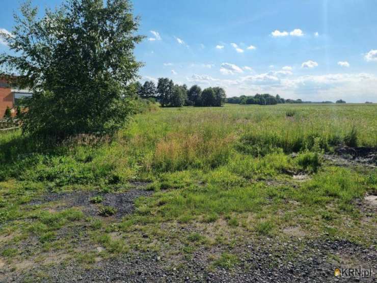 Działki  na sprzedaż, , Włoszakowice, ul. 