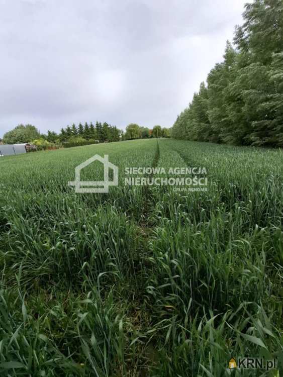 , Ostaszewo, ul. , Działki  na sprzedaż