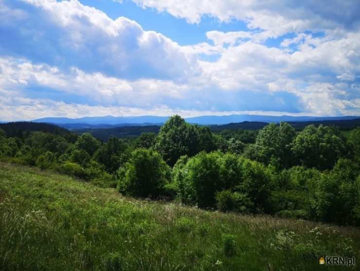 Działki  na sprzedaż, Radomice, ul. , 