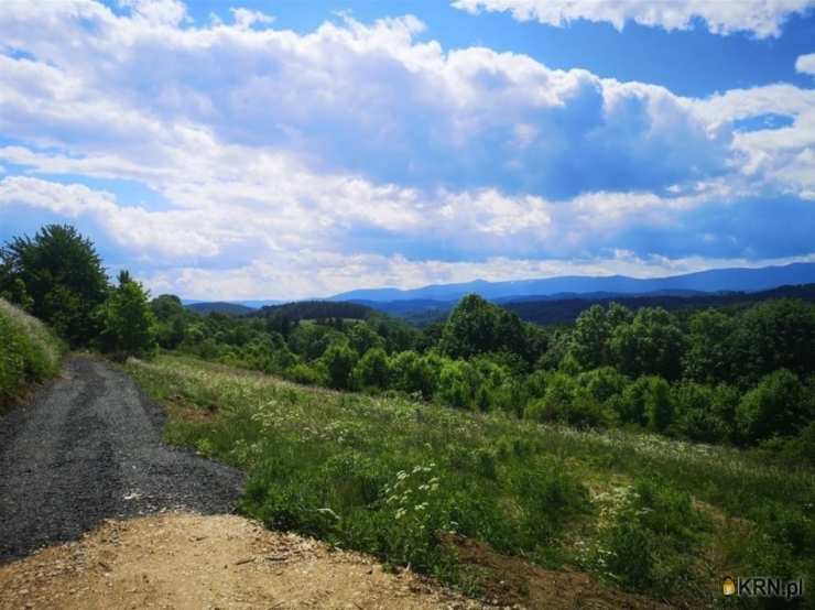 Działki  na sprzedaż, , Radomice, ul. 