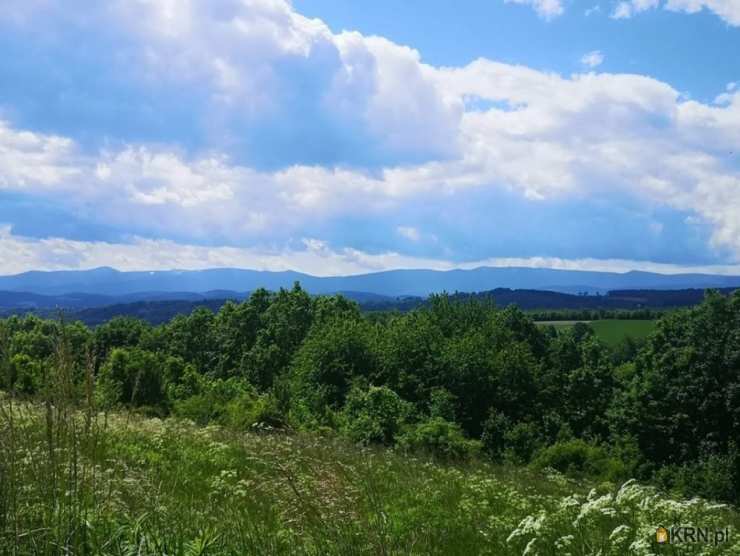 Radomice, ul. , Działki  na sprzedaż, 