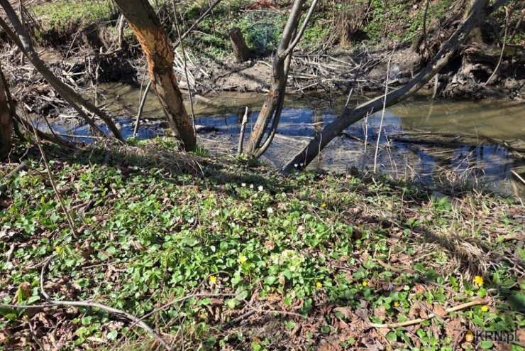 , Trzebinia, ul. , Działki  na sprzedaż