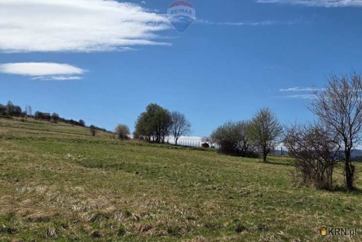 , Działki  na sprzedaż, Trzebinia, ul. 