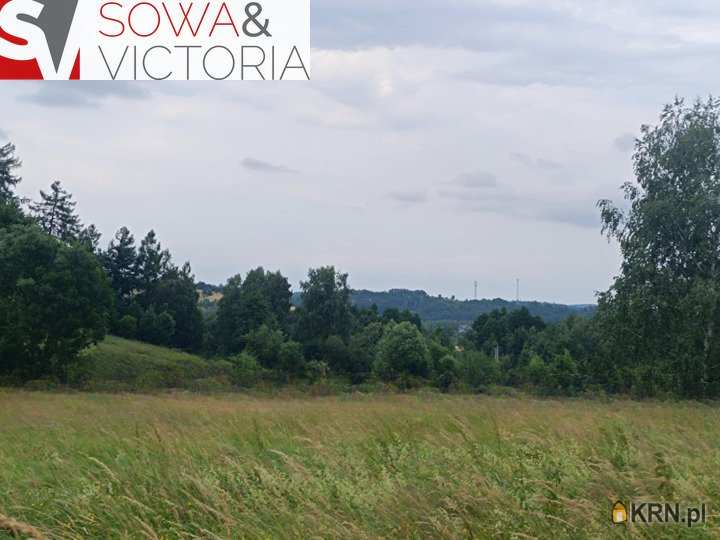 , Działki  na sprzedaż, Stare Bogaczowice, ul. 
