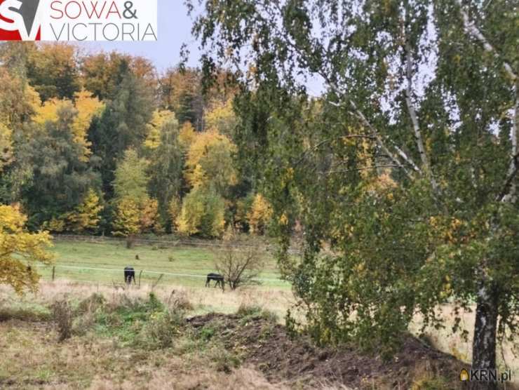 Biuro Nieruchomości SOWA, Działki  na sprzedaż, Stare Bogaczowice, ul. 