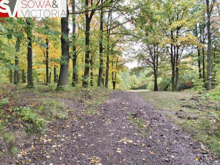 Działki  na sprzedaż, Stare Bogaczowice, ul. , 