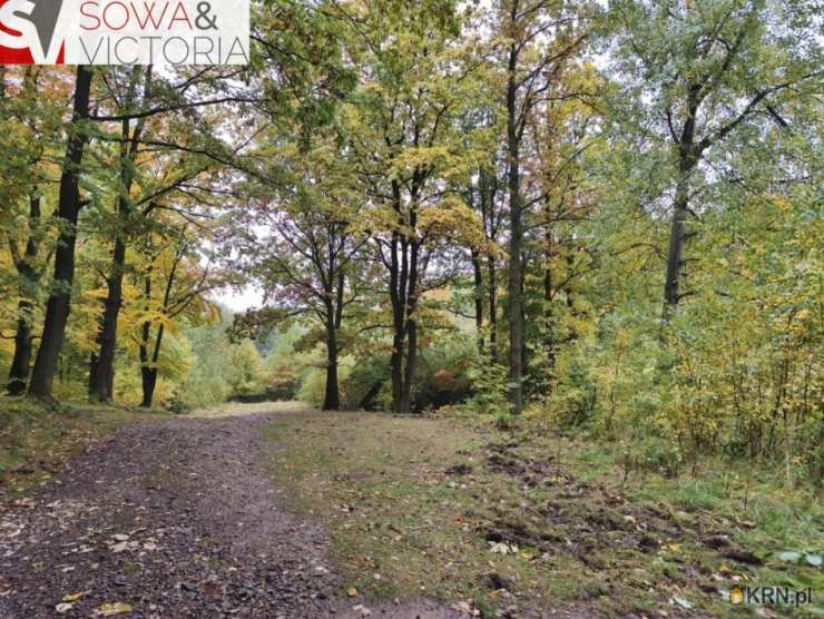 Działki  na sprzedaż, , Stare Bogaczowice, ul. 