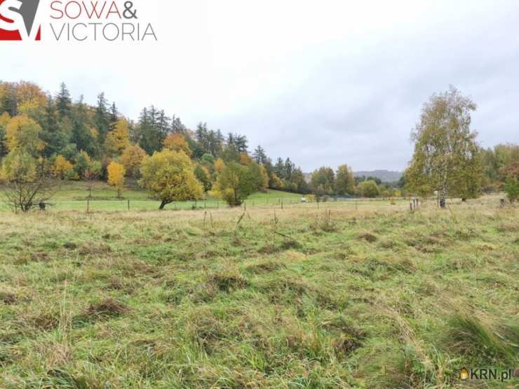 Biuro Nieruchomości SOWA, Działki  na sprzedaż, Stare Bogaczowice, ul. 
