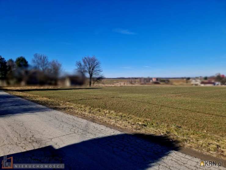 Mogilany, Celiny, ul. , Działki  na sprzedaż, 