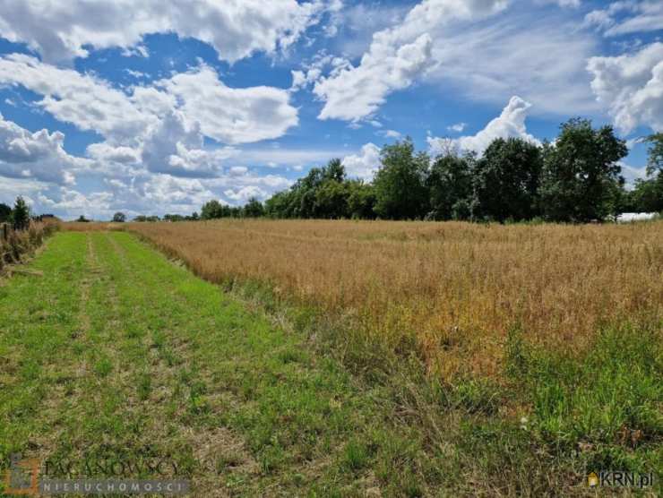 Działki  na sprzedaż, Kozierów, ul. , 