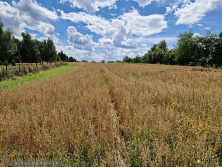 Działki  na sprzedaż, , Kozierów, ul. 
