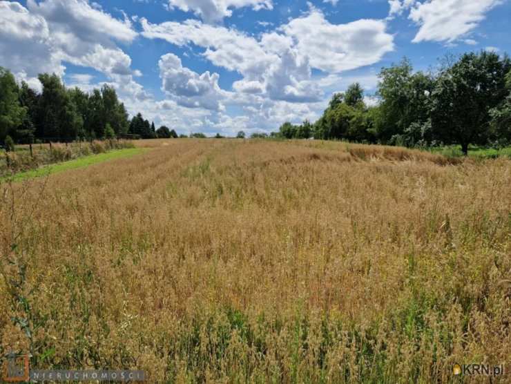 Działki  na sprzedaż, Kozierów, ul. , 