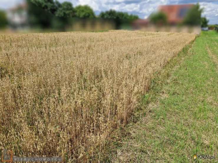 Działki  na sprzedaż, , Kozierów, ul. 
