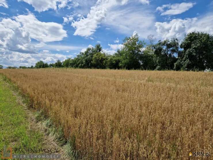Kozierów, ul. , , Działki  na sprzedaż