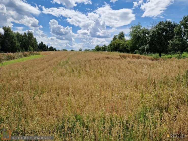 Działki  na sprzedaż, Kozierów, ul. , 