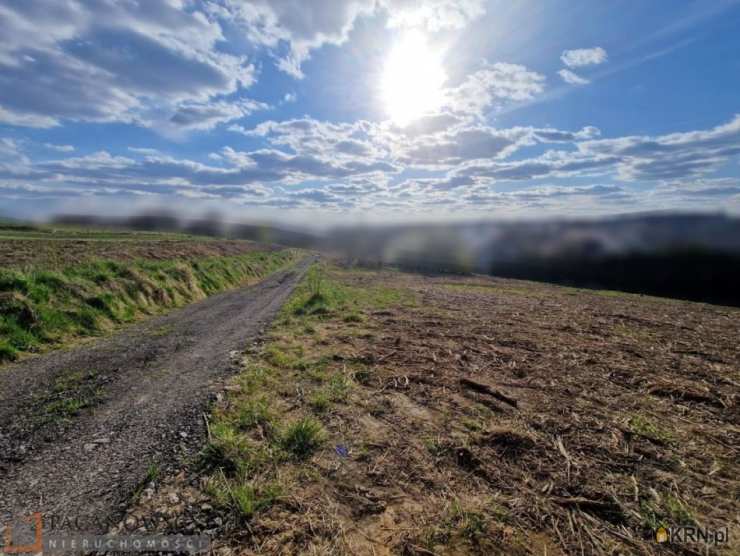 Działki  na sprzedaż, Bibice, ul. , 