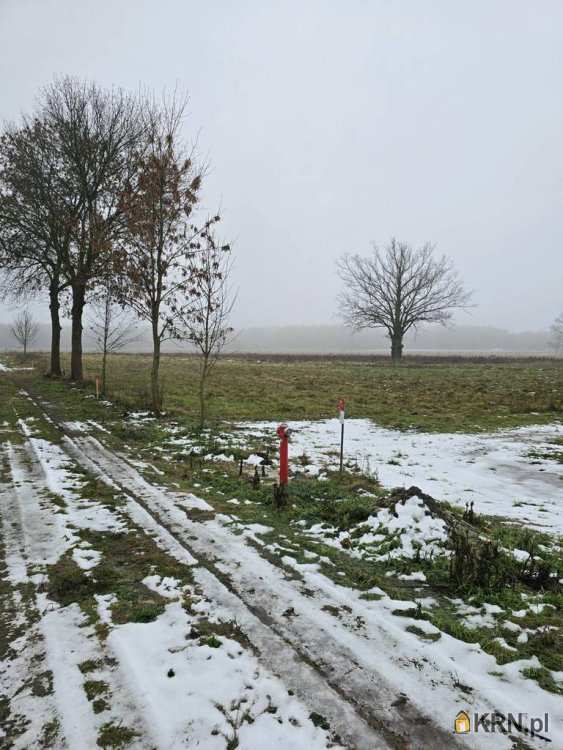 Działki  na sprzedaż, Kocin, ul. , 