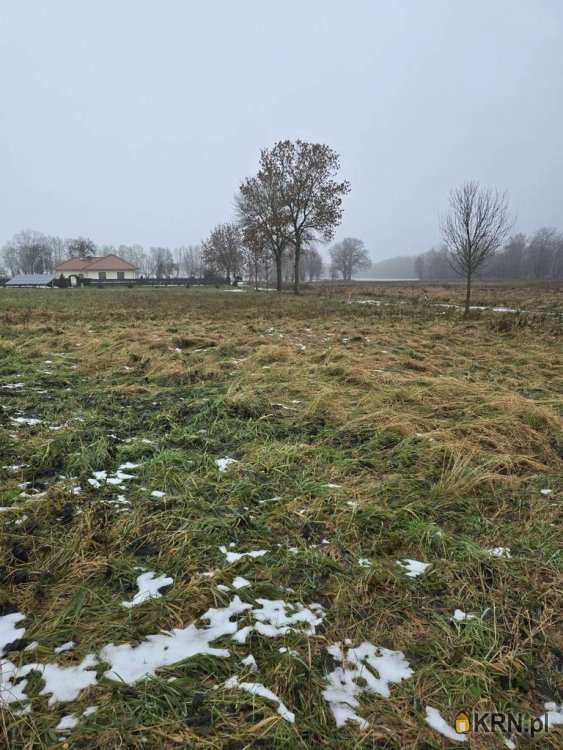 Działki  na sprzedaż, , Kocin, ul. 