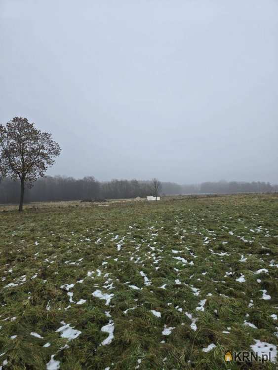 Kocin, ul. , Działki  na sprzedaż, 