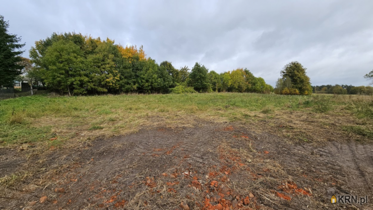 Działki  na sprzedaż, Miłomłyn, ul. , 