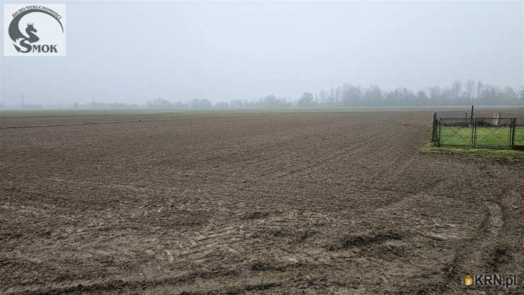 Działki  na sprzedaż, Pierzchów, ul. , 