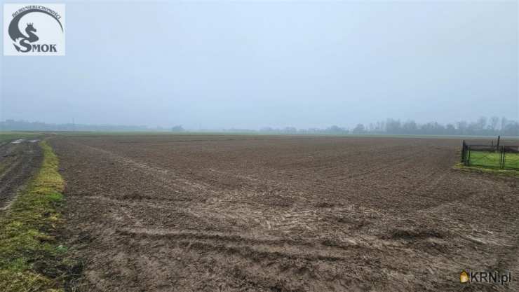 Pierzchów, ul. , Działki  na sprzedaż, 