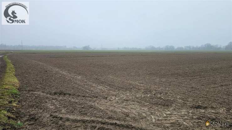 Pierzchów, ul. , , Działki  na sprzedaż