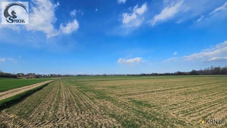 Działki  na sprzedaż, Pierzchów, ul. , 