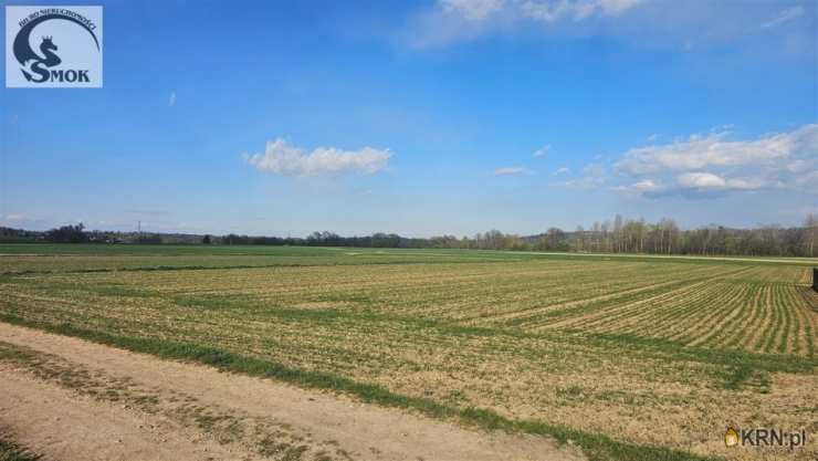 Działki  na sprzedaż, , Pierzchów, ul. 