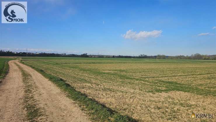 Pierzchów, ul. , Działki  na sprzedaż, 