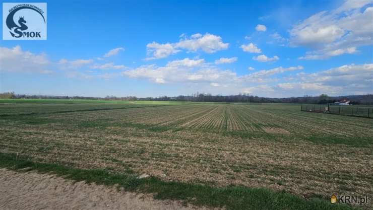 Pierzchów, ul. , , Działki  na sprzedaż