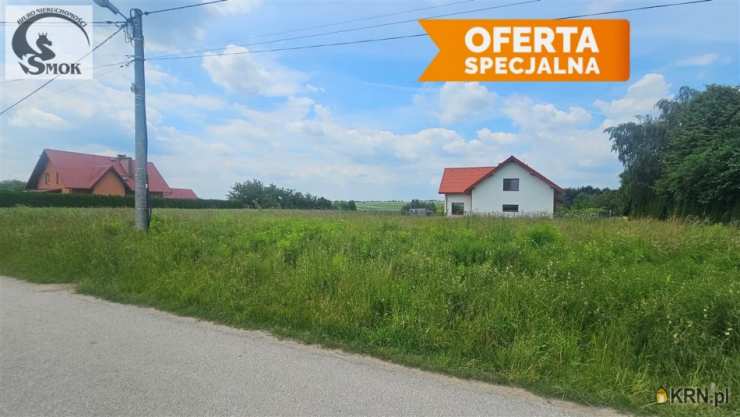Działki  na sprzedaż, Rzeplin, ul. , 