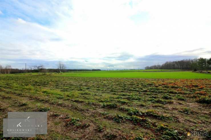 Kamienna, ul. , Działki  na sprzedaż, 