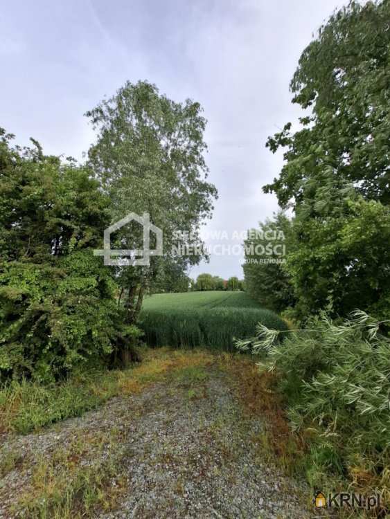 Ostaszewo, ul. , Działki  na sprzedaż, 