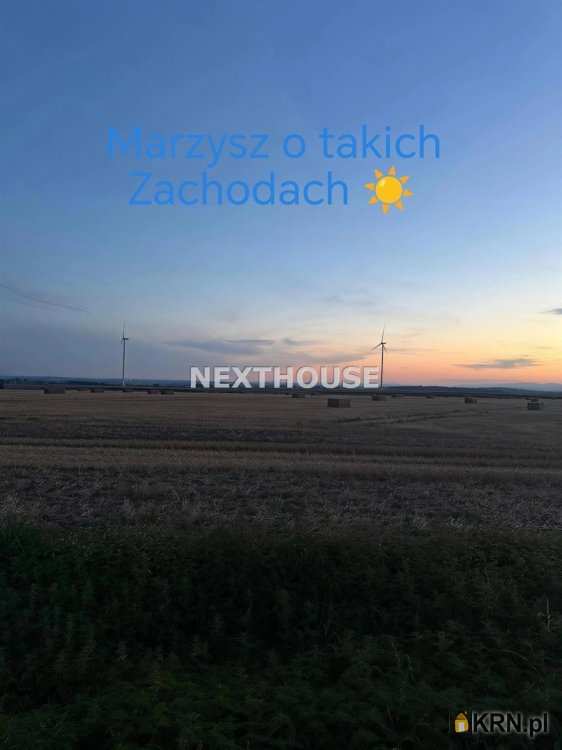 Działki  na sprzedaż, Opawica, ul. , 
