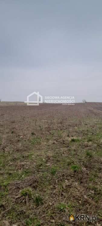 Skorzewo, ul. , , Działki  na sprzedaż