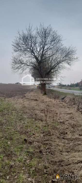 , Skorzewo, ul. , Działki  na sprzedaż