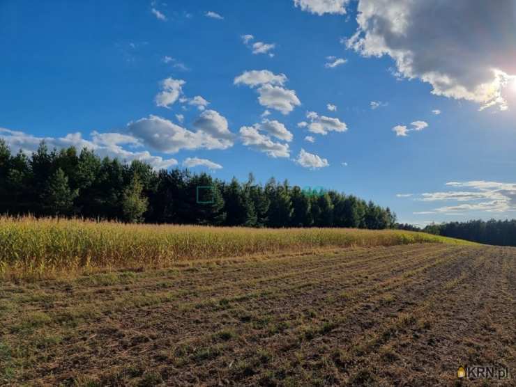 , Działki  na sprzedaż, Trypucie, ul. 