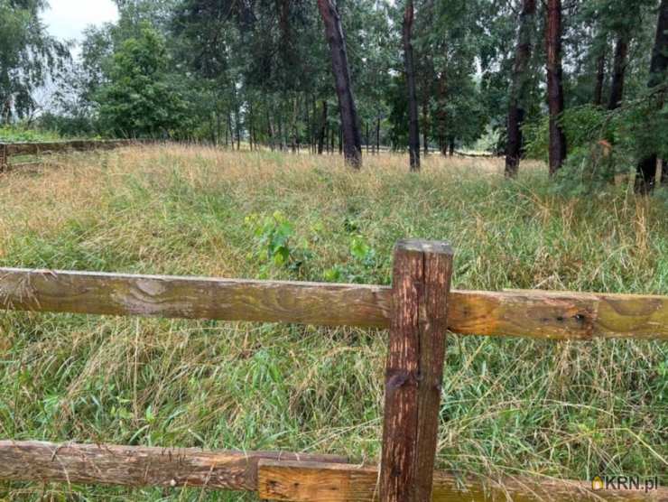 Dębki, ul. , Działki  na sprzedaż, 