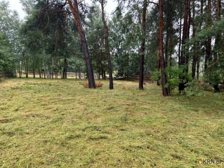 Dębki, ul. , , Działki  na sprzedaż