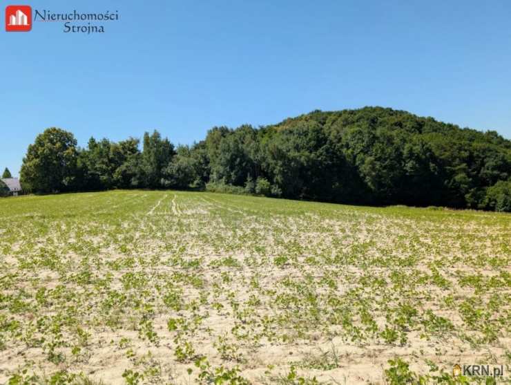 , Działki  na sprzedaż, Dobranowice, ul. 