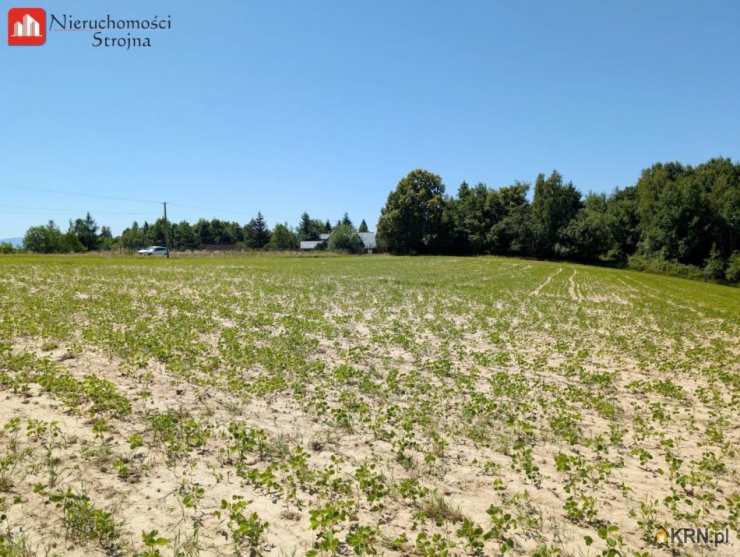 Nieruchomości Strojna, Działki  na sprzedaż, Dobranowice, ul. 