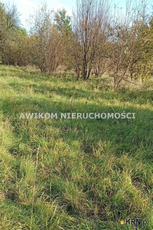 , Budy-Grzybek, ul. , Działki  na sprzedaż