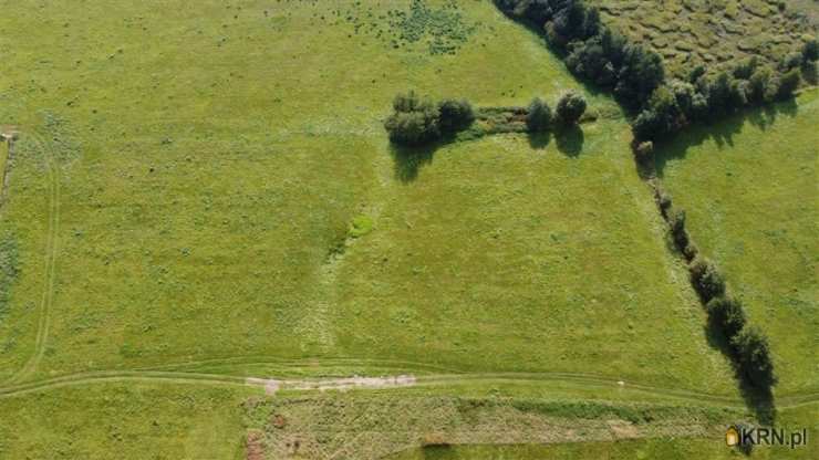 Działki  na sprzedaż, , Wojcieszyce, ul. 